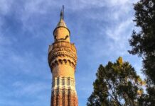 Tevfik Fikretin Âşiyanı